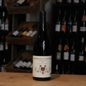 Bourgogne Hautes Cotes de Nuits - Les Roncières - Bio - P. HUDELOT - 75cl