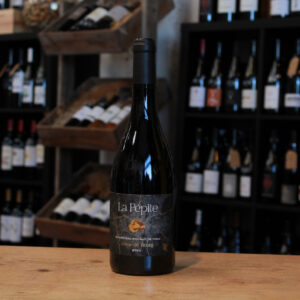 Bo009 AOC Cote de bourg - PEPITE - Reignac Tizac - 2022 - 75CL