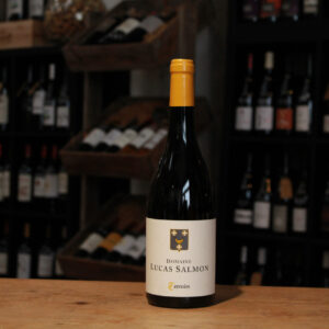 Muscadet Melon de bourgogne, terroirs - Domaine Lucas Salmon