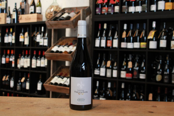 Touraine gamay, Plant à la roche - Vignoble Gibault