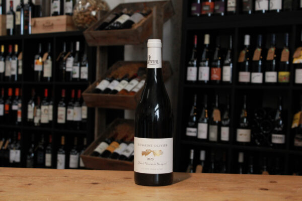 Saint Nicolas de Bourgueil cabernet franc, cuvée domaine - Domaine Olivier