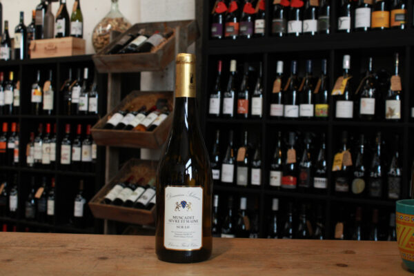 Muscadet Melon de bourgogne, Le petit clos - Domaine Salmon