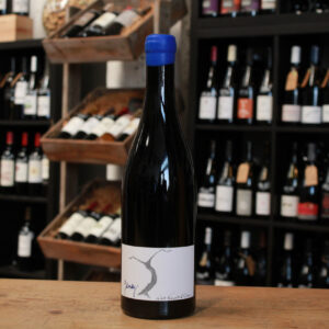 Vin de France - Gamay Amphone - Domaine Les Terres d'Ocre