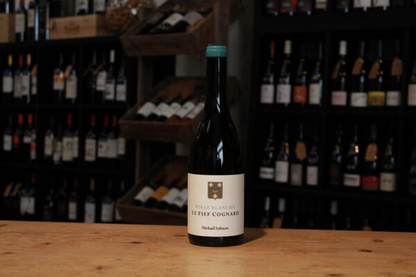 Vins de France folle blanche, Folle blanche fief cognard - Mickael Salmon