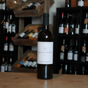 AOC Pacherenc du Vic-Bilh sec Gros manseng, petit courbu, Agrumes &caetera - Domaine Capmartin